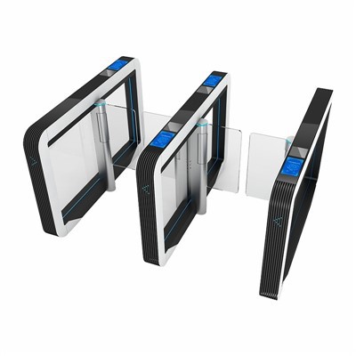 Paʻa ʻO ka Puka Puka Paʻa